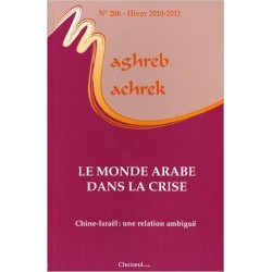 Maghreb Machrek: Le monde arabe dans la crise Chine-Israël. Une relation ambiguë