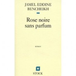 Rose noire sans parfum