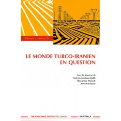 Le monde turco-iranien en question