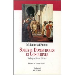 Soldats, domestiques et concubines: l'ésclavage au Maroc au XIXè siècle