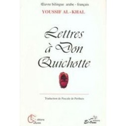 Lettres a Don Quichotte