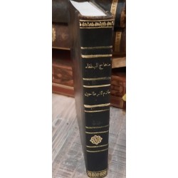 منهاج البلغاء وسراج الأدباء