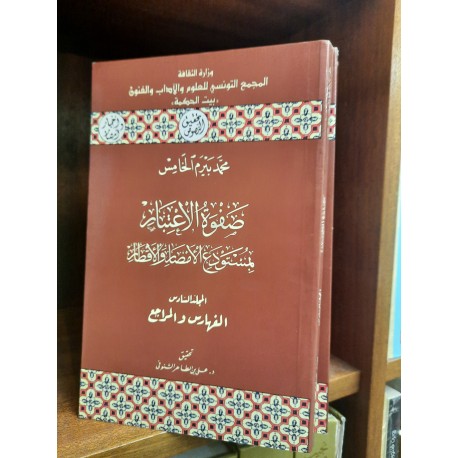 صفوة الاعتبار بمستودع الأمصار والاقطار