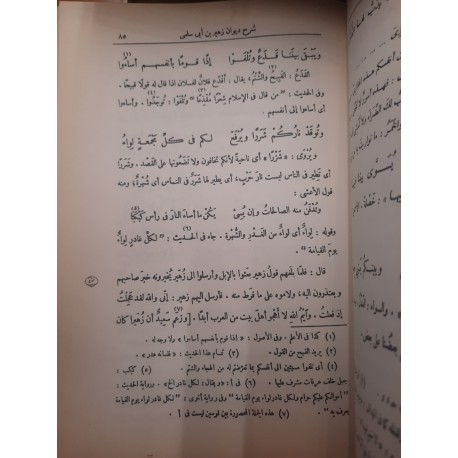 شرح ديوان زهير بن أبي سلمى